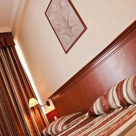 Hotel Central 3*