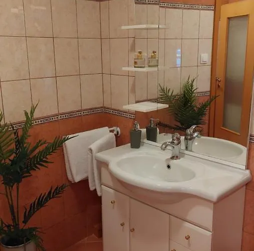 中央酒店 3* 佩奇