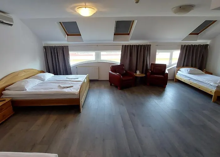 酒店 中央酒店 3*