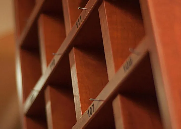 酒店 中央酒店 3*