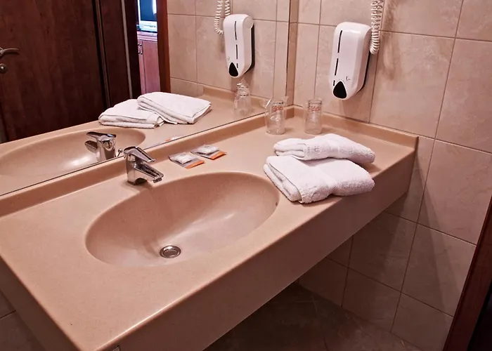 酒店 中央酒店 佩奇