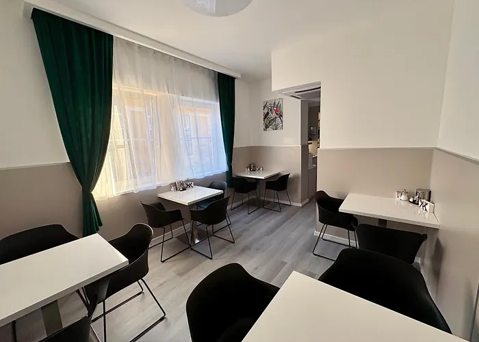 中央酒店 3* 佩奇