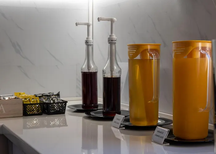 中央酒店 酒店 3*